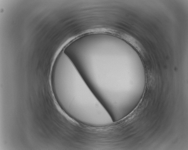 X0000080121084200612080925