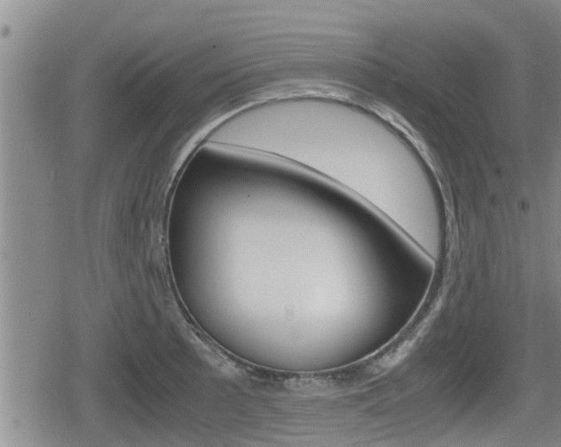 X0000080121089200612080925