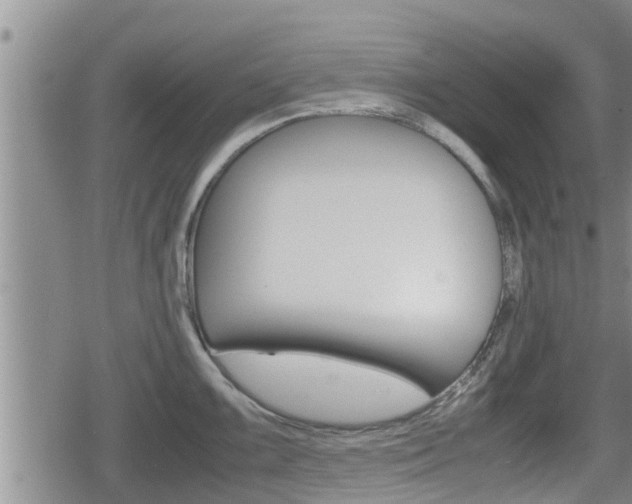 X0000080121099200612080925