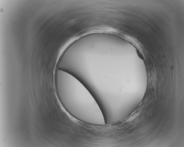 X0000080121103200612080925
