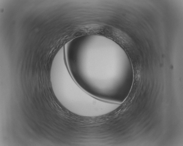 X0000080121108200612080924