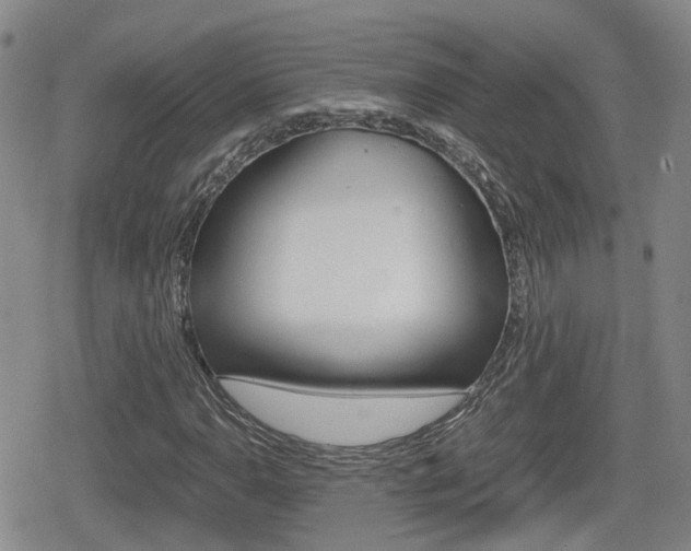 X0000080121110200612080924
