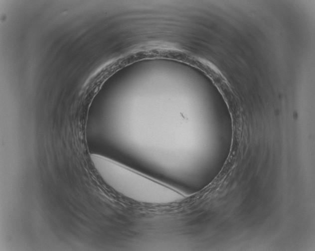X0000080121112200612080924