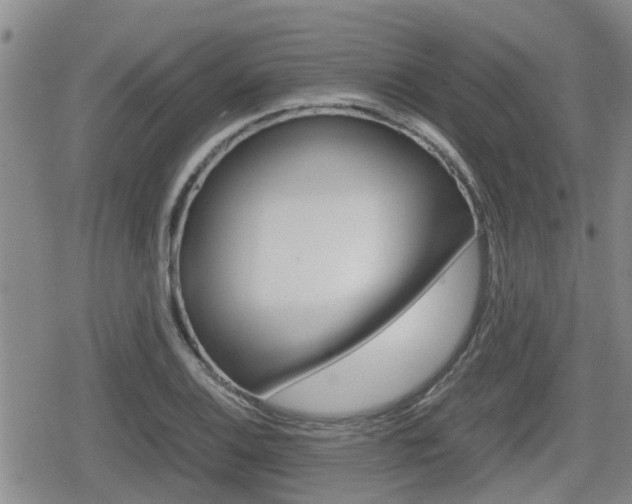 X0000080121124200612080924
