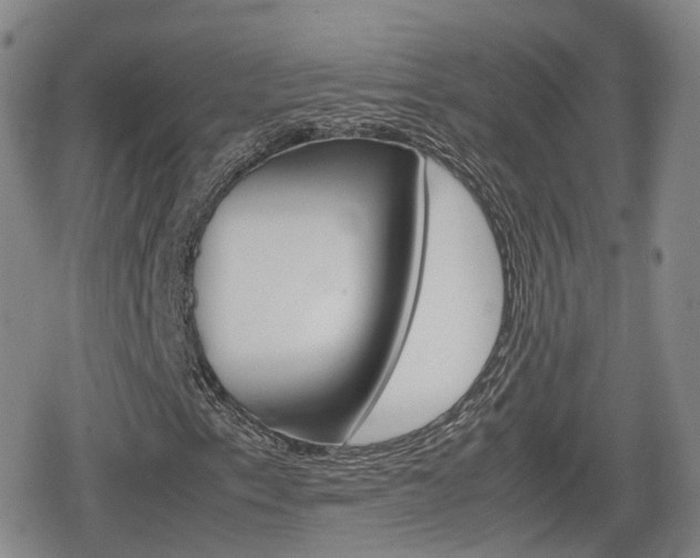 X0000080121153200612080924