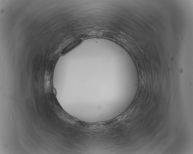 X0000080121154200612080924