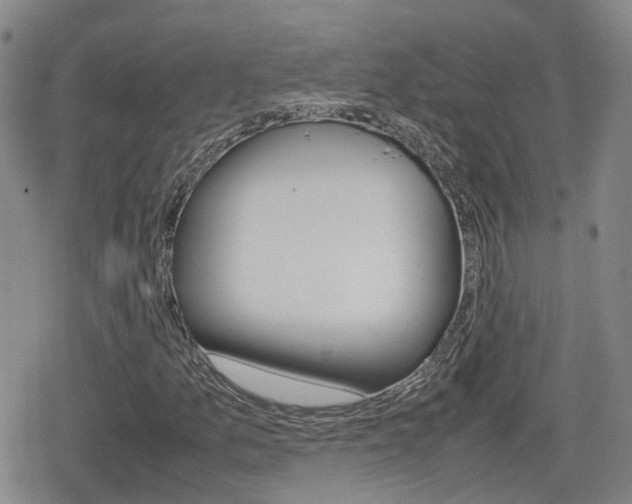 X0000080121157200612080924