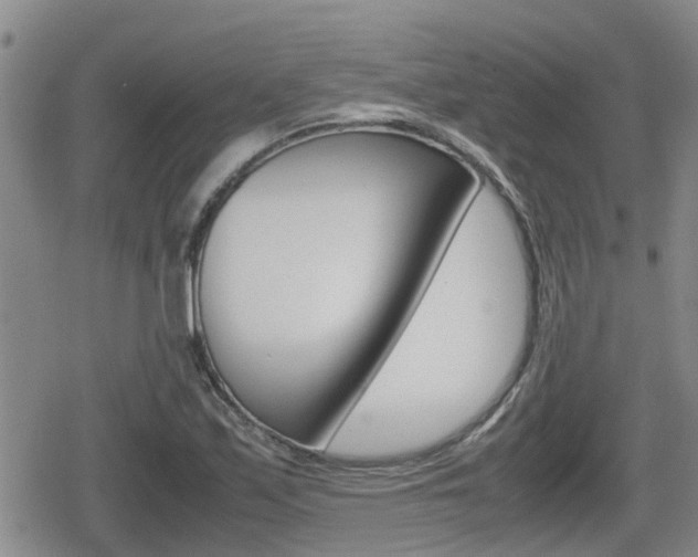 X0000080121171200612080923