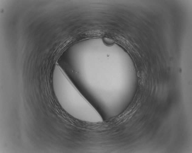 X0000080121201200612080922