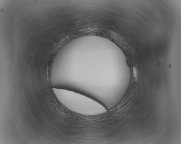 X0000080121203200612080922
