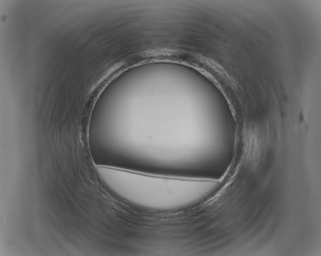 X0000080121209200612080922