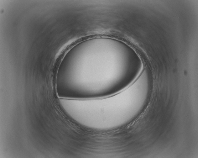 X0000080121214200612080922