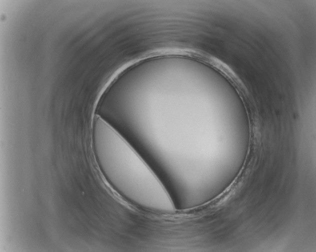 X0000080121236200612080923