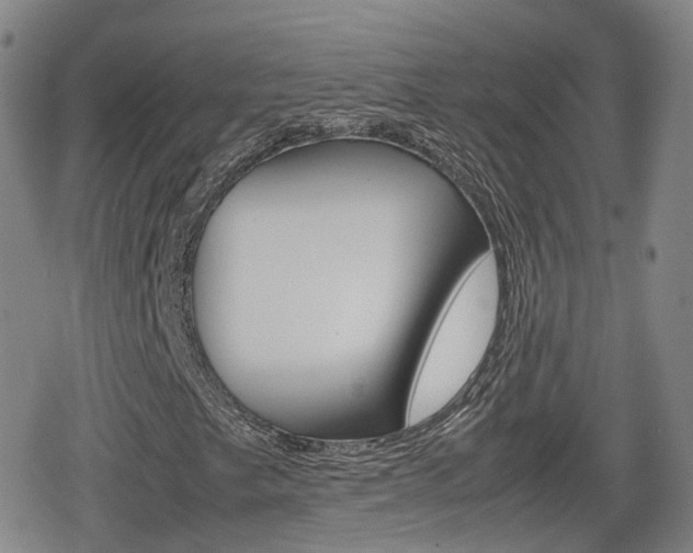X0000080121249200612080922