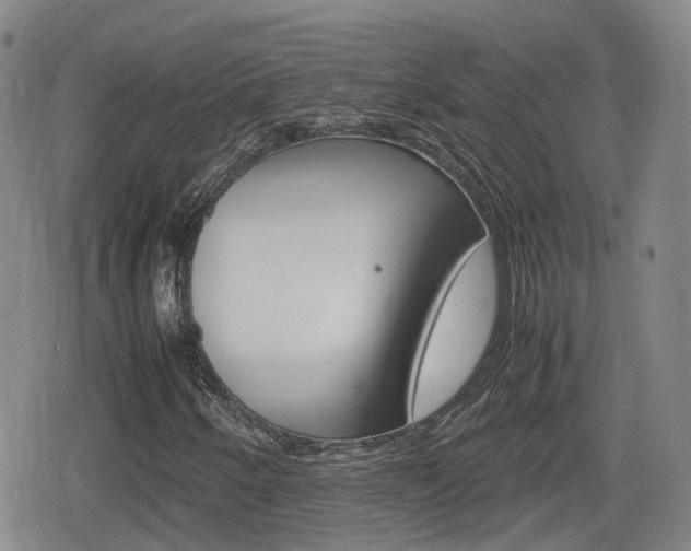 X0000080121250200612080922