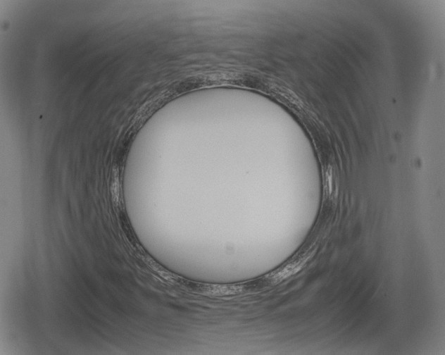 X0000080121251200612080922