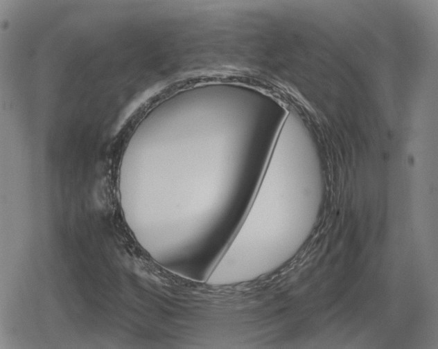 X0000080121256200612080922