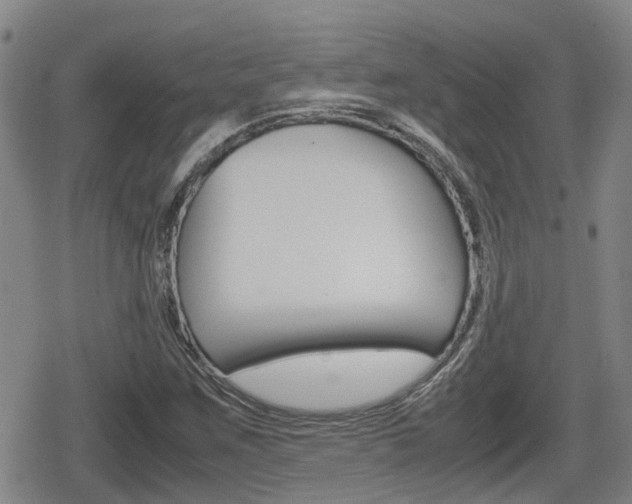 X0000080121259200612080922