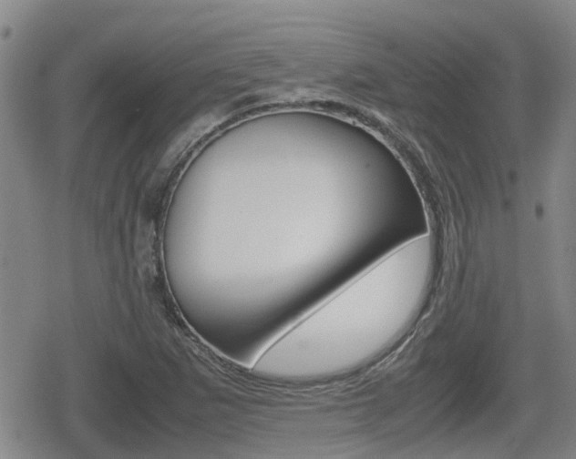 X0000080121265200612080922