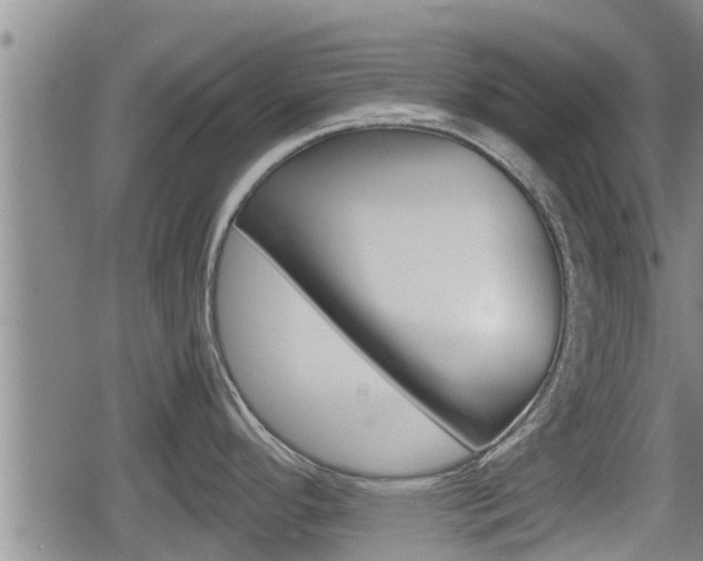 X0000080121296200612080921