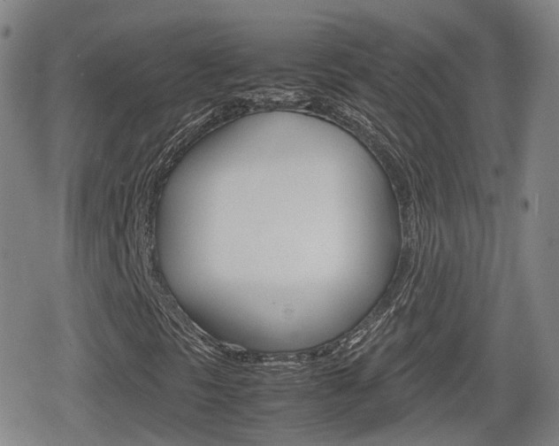 X0000080121297200612080921