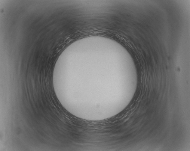 X0000080121298200612080921