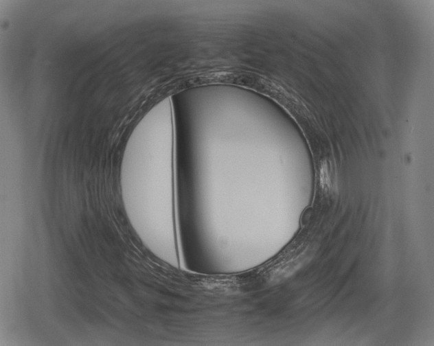 X0000080121299200612080921