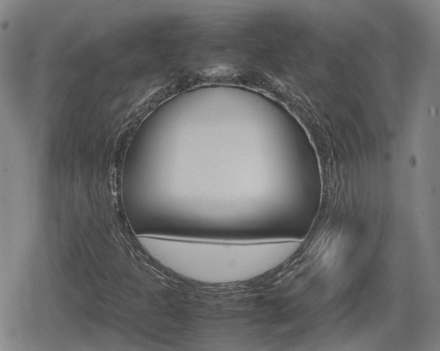 X0000080121301200612080921