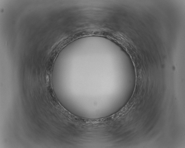 X0000080121302200612080921