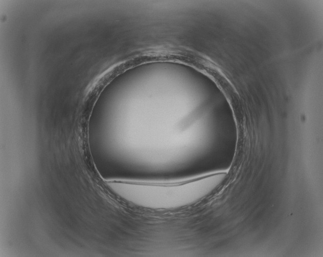 X0000080121304200612080921
