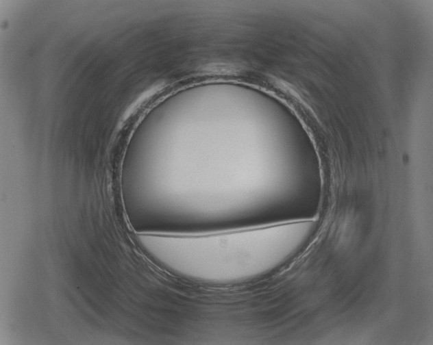 X0000080121307200612080921