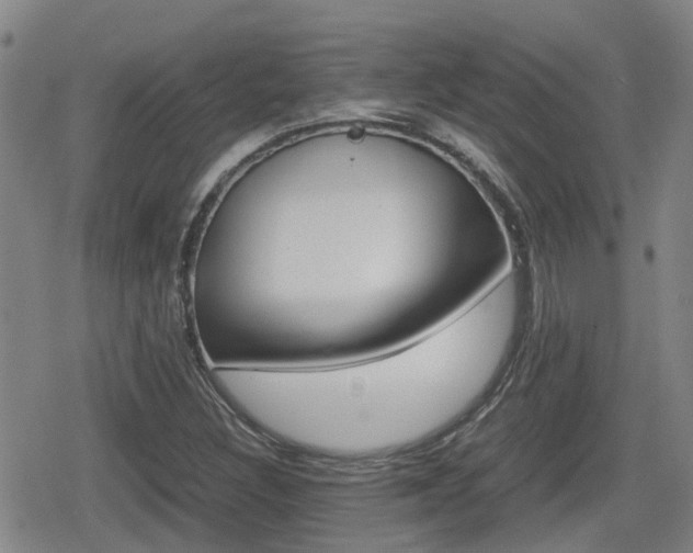 X0000080121308200612080921