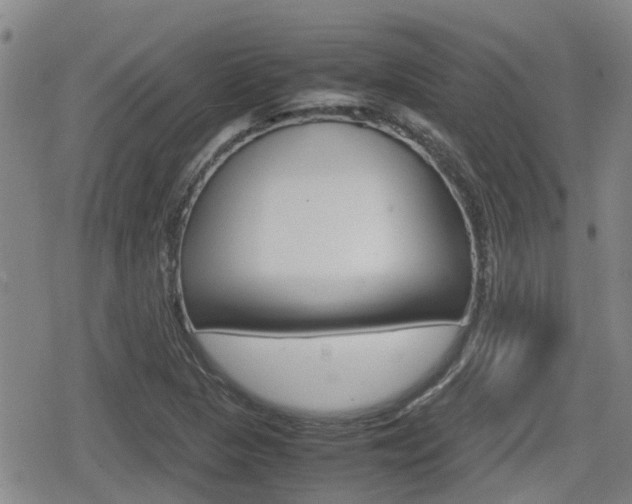 X0000080121313200612080921