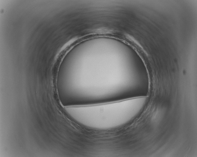 X0000080121315200612080921