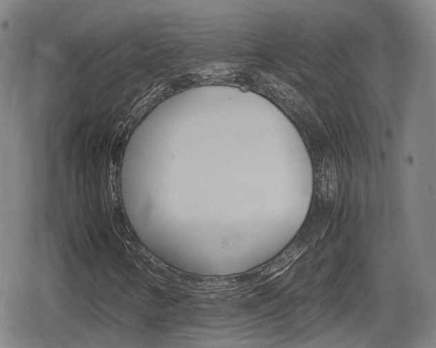 X0000080121346200612080921