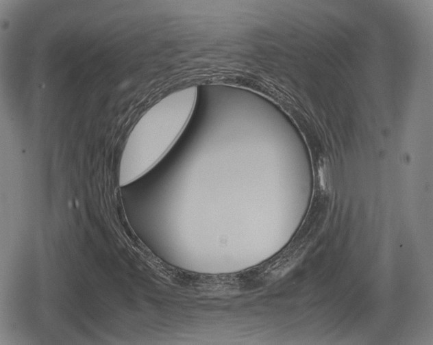 X0000080121347200612080921