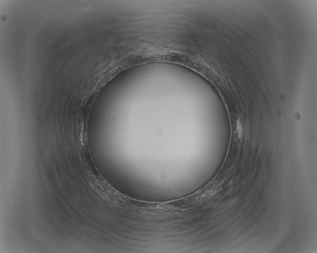 X0000080121348200612080921