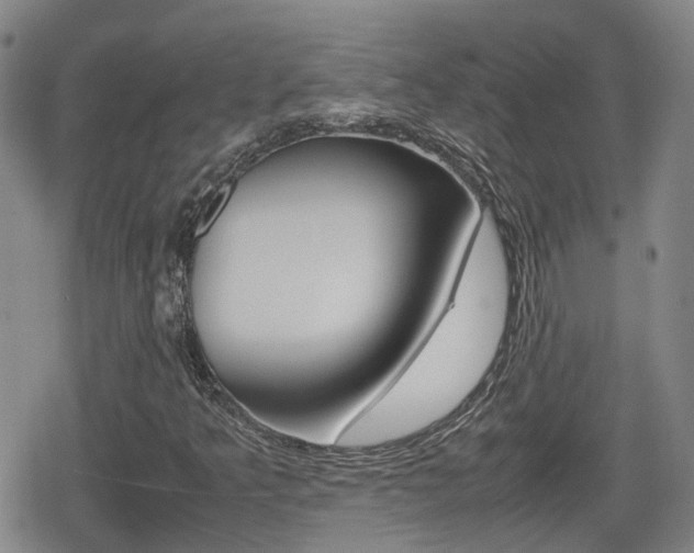 X0000080121349200612080921