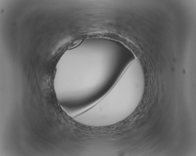 X0000080121351200612080921
