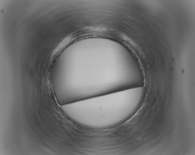 X0000080121354200612080920