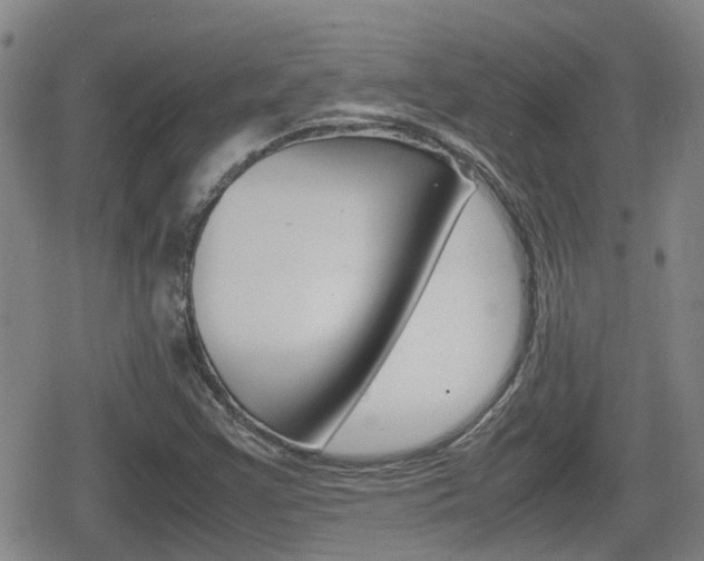 X0000080121355200612080920