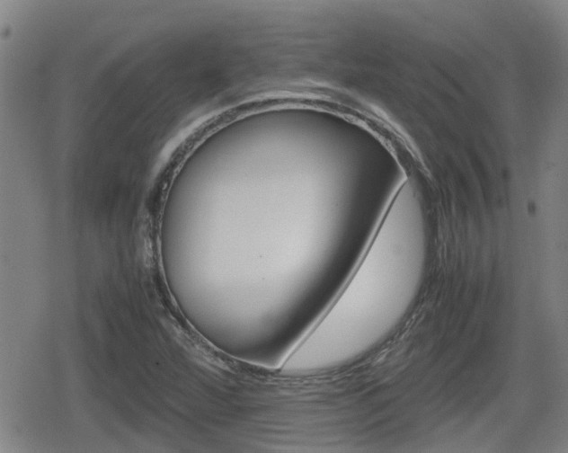 X0000080121360200612080920