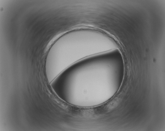 X0000080121363200612080920