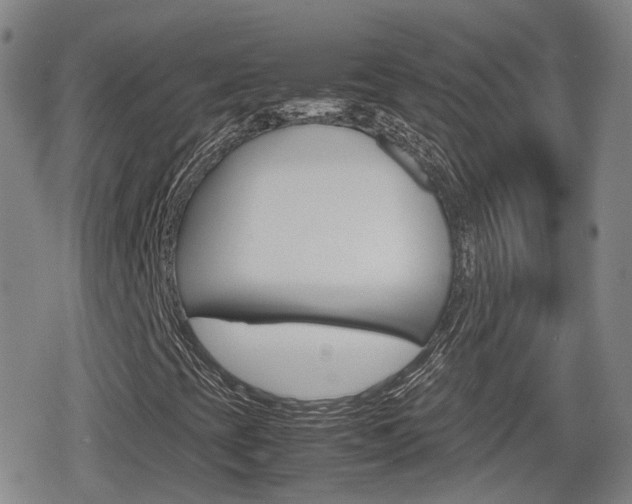 X0000080121393200612080919