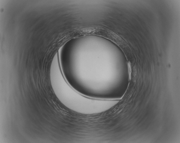 X0000080121394200612080919