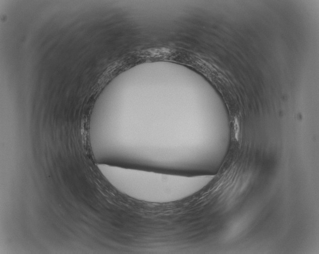 X0000080121395200612080919