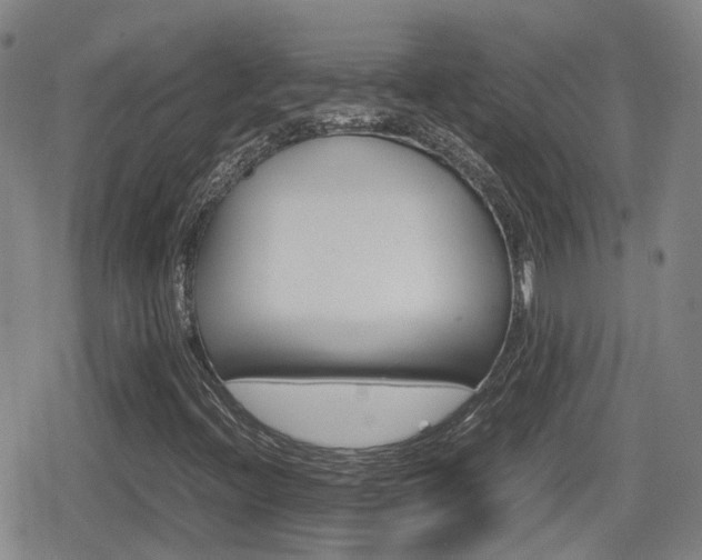 X0000080121396200612080919