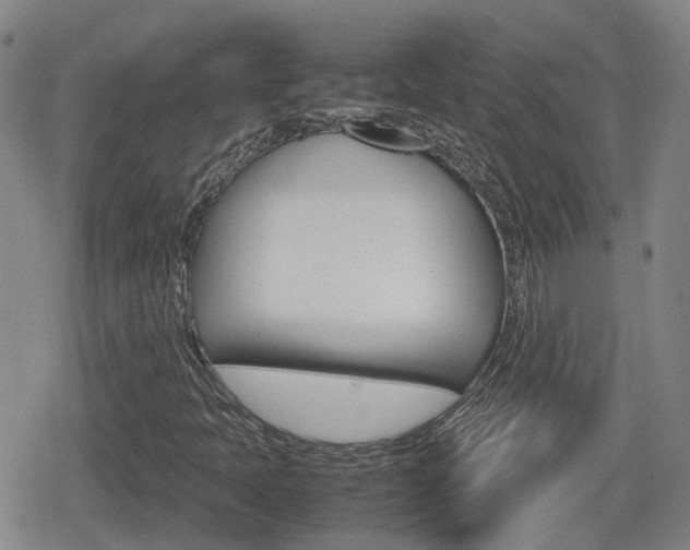 X0000080121397200612080919