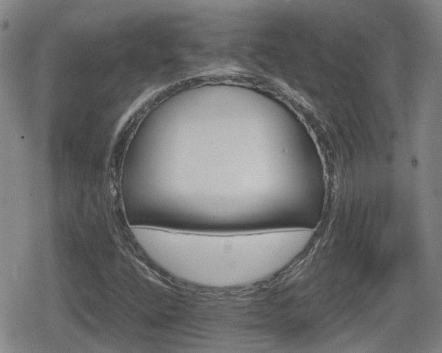 X0000080121400200612080919