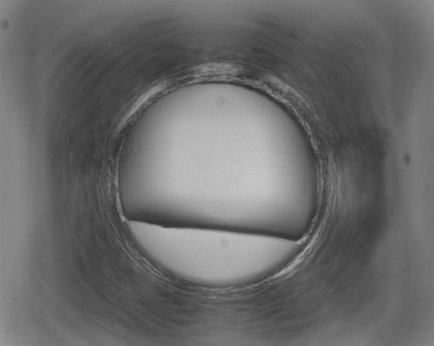 X0000080121401200612080919